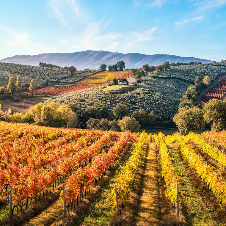 Italy (Classico) New Route for 2027